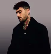 Zayn pillowtalk (We'll piece off the neighbors)